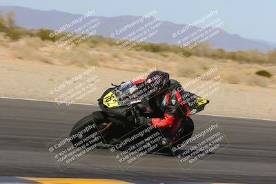 media/Feb-04-2023-SoCal Trackdays (Sat) [[8a776bf2c3]]/Turn 6 Inside (1025am)/